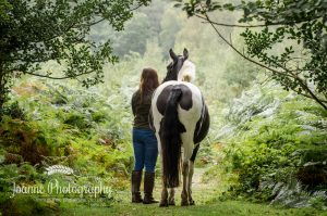New Forest Horse Photoshoot