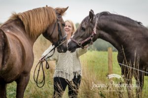 Cheshire Horse Photography