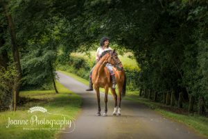 Equine Photography NorthRode
