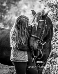 Horse Photographer Hazel Grove