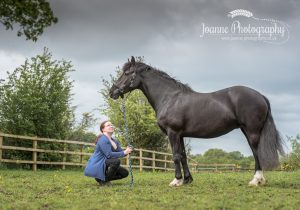 Stockport horse photography