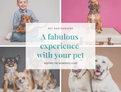 A Fabulous Experience with your pet – at Joanne Photography