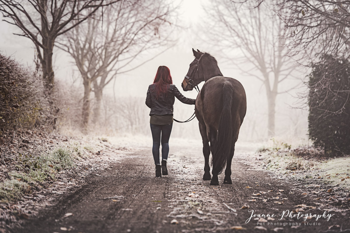 Equine Photography - Dunham Massey