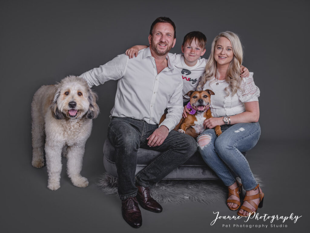 Family And Dogs photographer